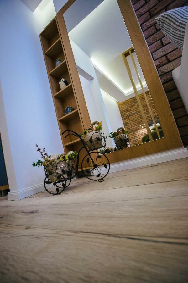 Briana Luxury Studio Cluj-Napoca Buitenkant foto