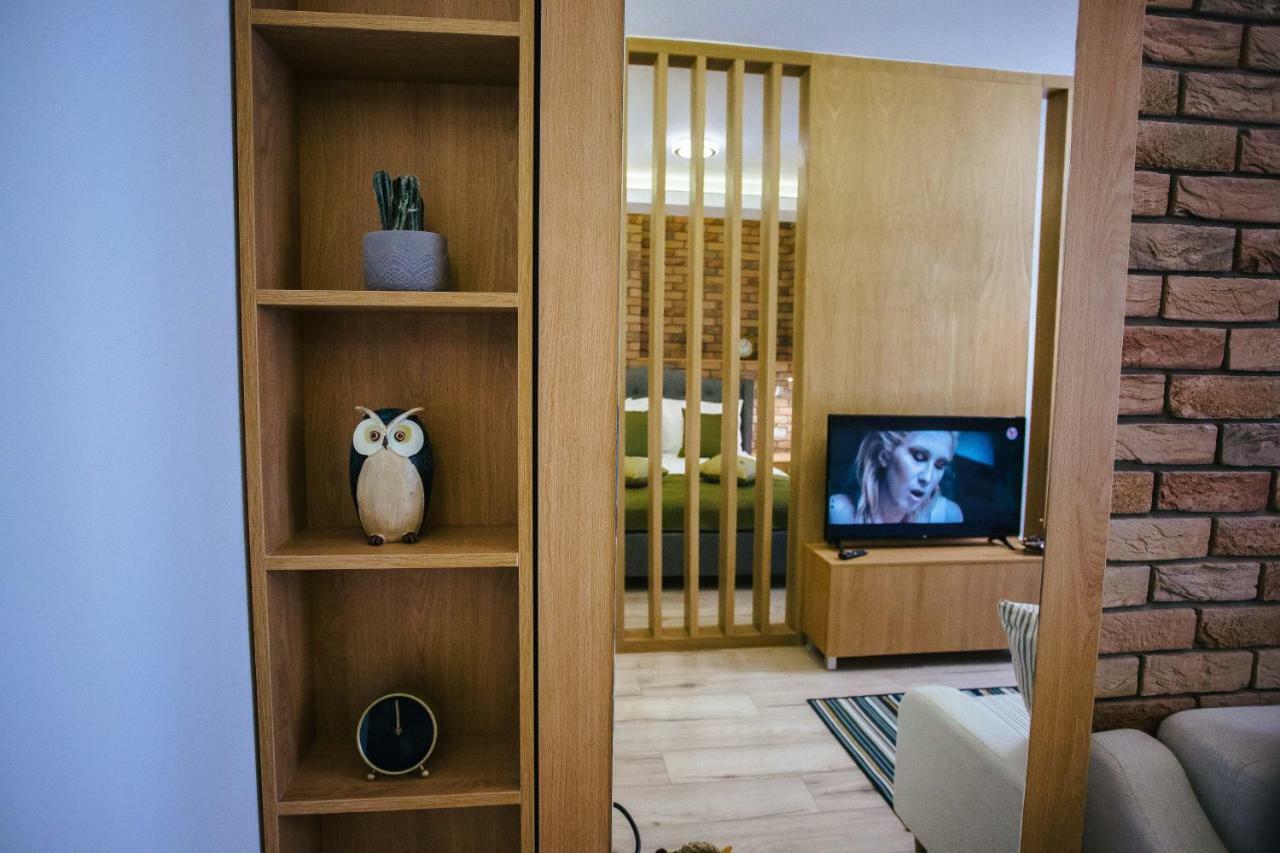 Briana Luxury Studio Cluj-Napoca Buitenkant foto